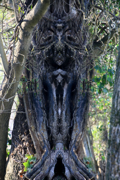 「Ces arbres  hantés…」というタイトルの写真撮影 Gabriel Cotelleによって, オリジナルのアートワーク, デジタル