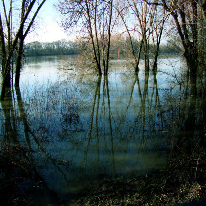 Photographie intitulée "Quand montent les e…" par Gabriel Cotelle, Œuvre d'art originale, Photographie numérique