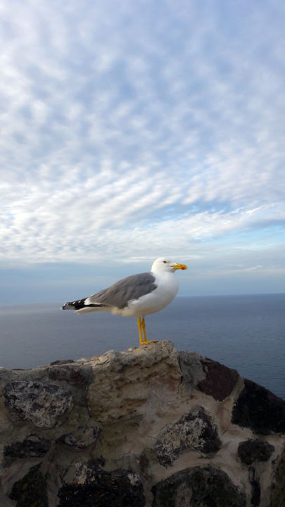 Photography titled "Proud" by Gabriel Zen, Original Artwork