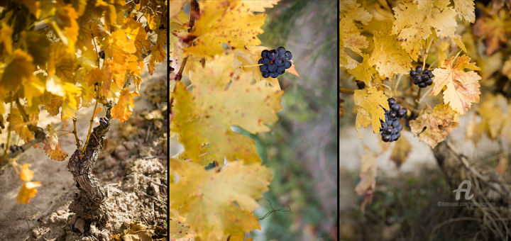 Photography titled "AUTUMN TRIPTYCH 002…" by Gabriel Caneda, Original Artwork, Digital Photography Mounted on Aluminium