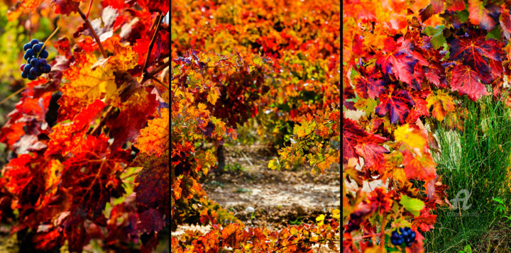 Photography titled "AUTUMN TRIPTYCH 004…" by Gabriel Caneda, Original Artwork, Digital Photography Mounted on Aluminium
