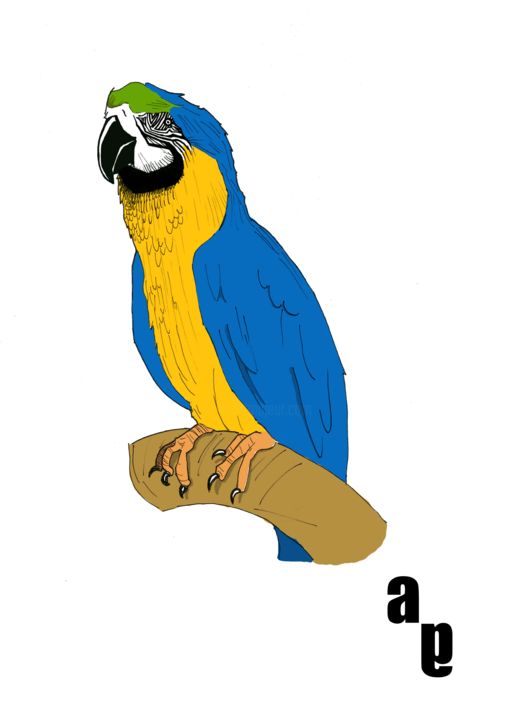 Pittura intitolato "pappagallo.jpg" da Gabriele Ancona, Opera d'arte originale