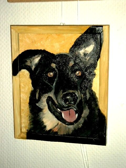 Peinture intitulée "Schaeferhundmischli…" par Gabriellart, Œuvre d'art originale, Huile