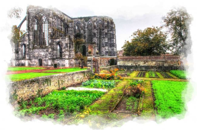 Photographie intitulée "Abbaye d'Aulne - Lo…" par Serge Gabrys, Œuvre d'art originale,