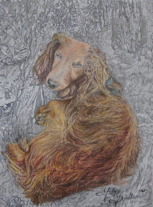 Dessin intitulée "Teckel à poil long…" par Gaby Bourlier, Œuvre d'art originale, Pastel