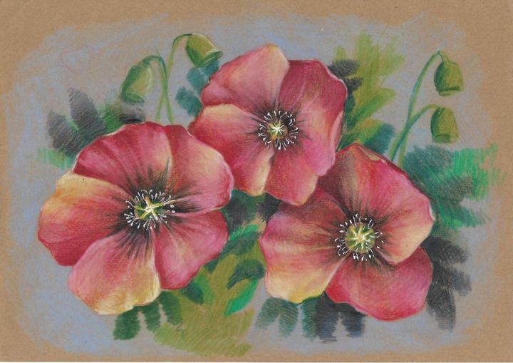 Dibujo titulada "poppies.jpg" por Galina Sviriaeva, Obra de arte original, Lápiz