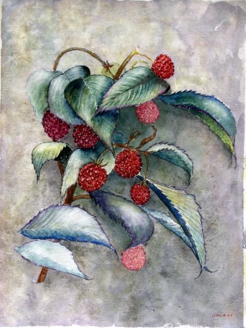 Painting titled "Framboises" by Jeangal, Original Artwork