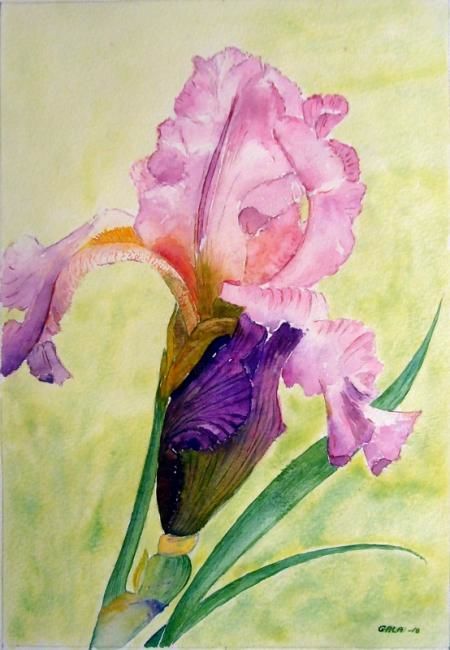 Painting titled "Iris 5" by Jeangal, Original Artwork