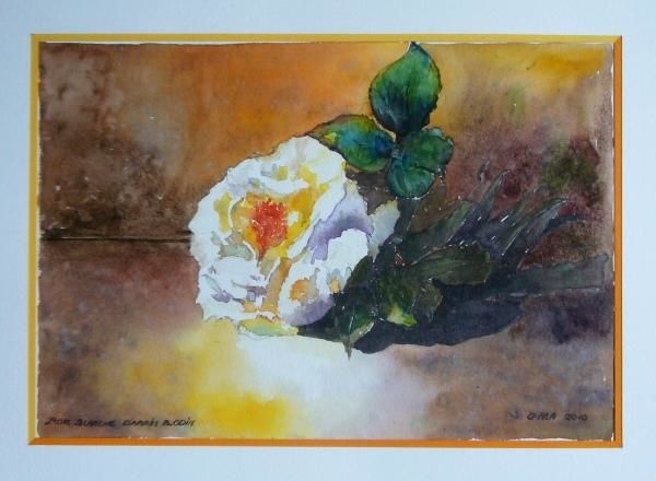 Painting titled "Rose blanche, d'apr…" by Jeangal, Original Artwork