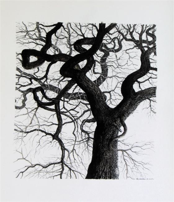 Dessin intitulée "Chêne torse à contr…" par Jean Kerinvel, Œuvre d'art originale, Autre