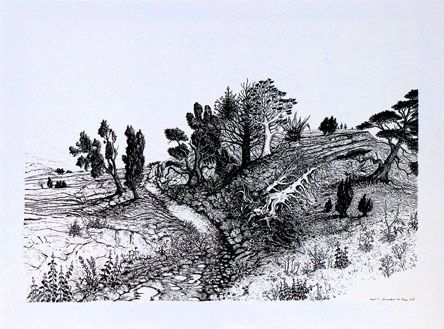 Dessin intitulée "Chemin imaginaire" par Jean Kerinvel, Œuvre d'art originale, Autre