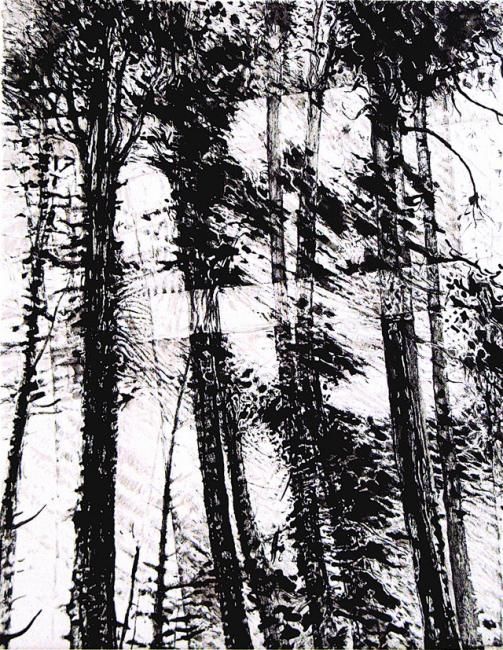 Dessin intitulée "Grands pins" par Jean Kerinvel, Œuvre d'art originale, Autre