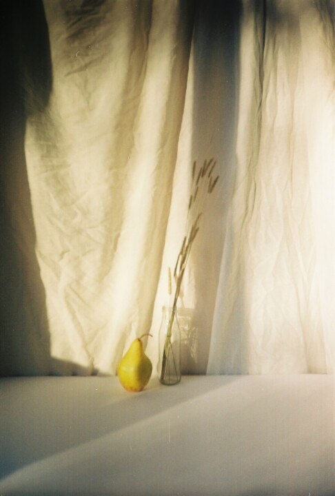 Photographie intitulée "photo "Still life"" par Galia V, Œuvre d'art originale, Photographie argentique