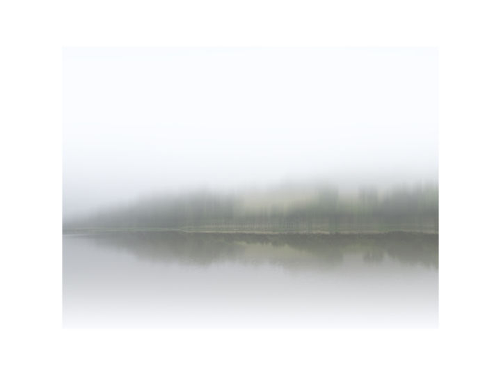 Photographie intitulée "Aulne #02" par Gérard Allaguillemette, Œuvre d'art originale,
