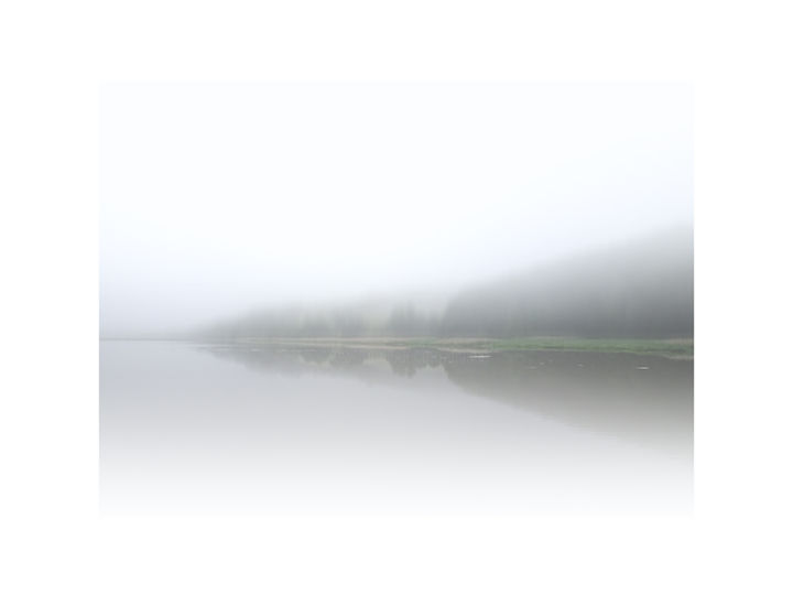 Photographie intitulée "Aulne #05" par Gérard Allaguillemette, Œuvre d'art originale,