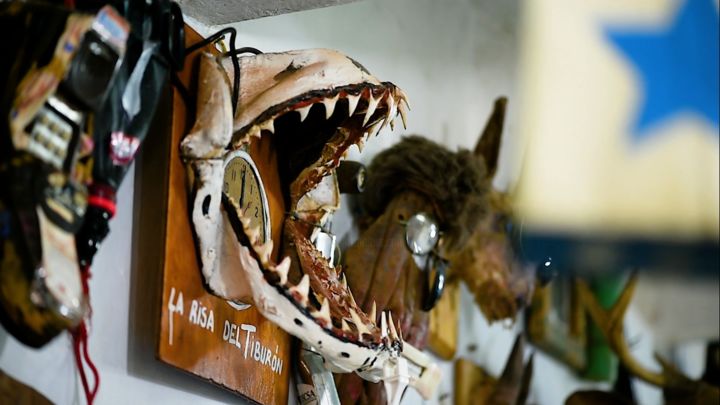 Escultura titulada "La risa del tiburón" por Gallo, Obra de arte original, Media mixtos