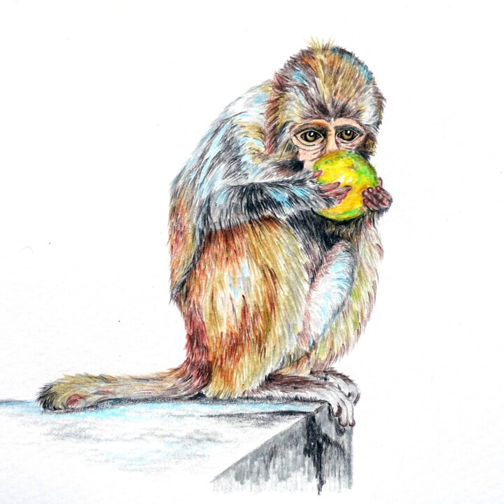 "Thief Monkey" başlıklı Resim Galyna Maikovych tarafından, Orijinal sanat, Kalem