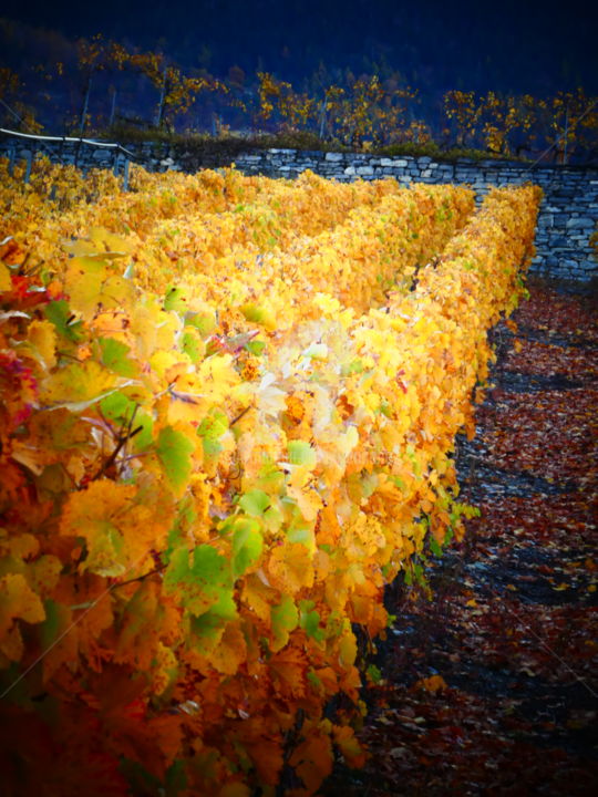 Photographie intitulée "Automne valaisan." par Prussi, Œuvre d'art originale,