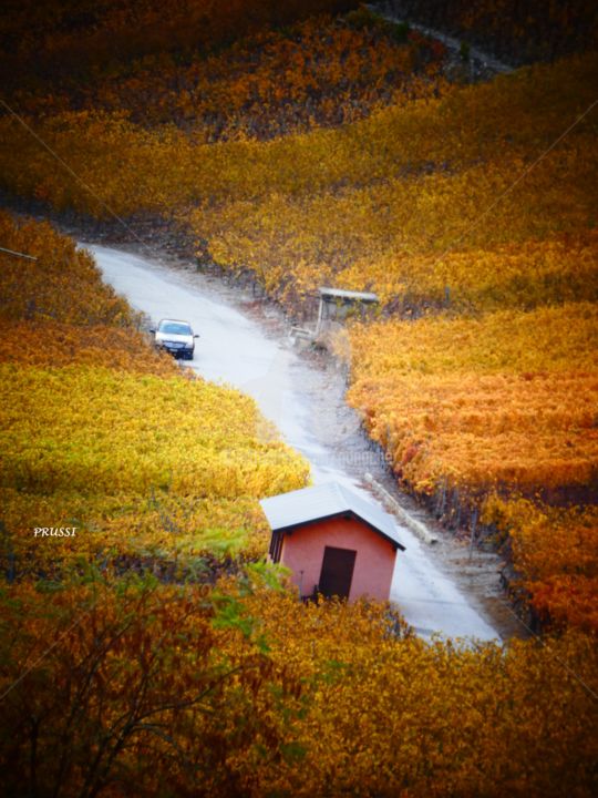 Photographie intitulée "Automne valaisan." par Prussi, Œuvre d'art originale,