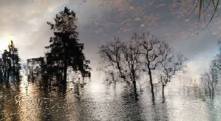 Fotografie getiteld "reflet d'eau 1" door D'Âme Forêt, Origineel Kunstwerk, Niet gemanipuleerde fotografie