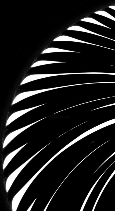 Photography titled "Palm Frond in the S…" by Gareth P Jones, Original Artwork, Digital Photography