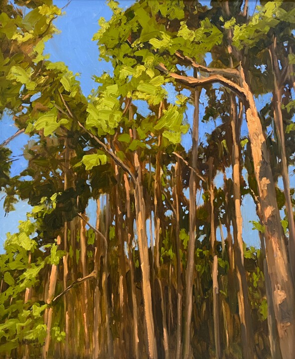 Malerei mit dem Titel "Sunlit Pines" von Gary Westall, Original-Kunstwerk, Öl