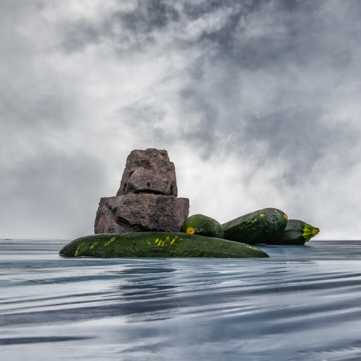 Photographie intitulée "zucchini island 1" par Gaspard De Gouges, Œuvre d'art originale, Photographie numérique