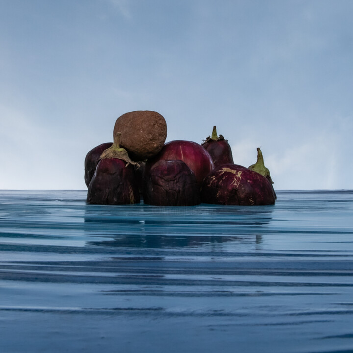 Photography titled "Eggplant island 7" by Gaspard De Gouges, Original Artwork, Digital Photography
