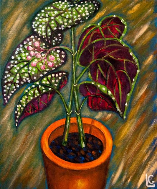 Painting titled "Begonia" by Gasparian, Original Artwork, Oil