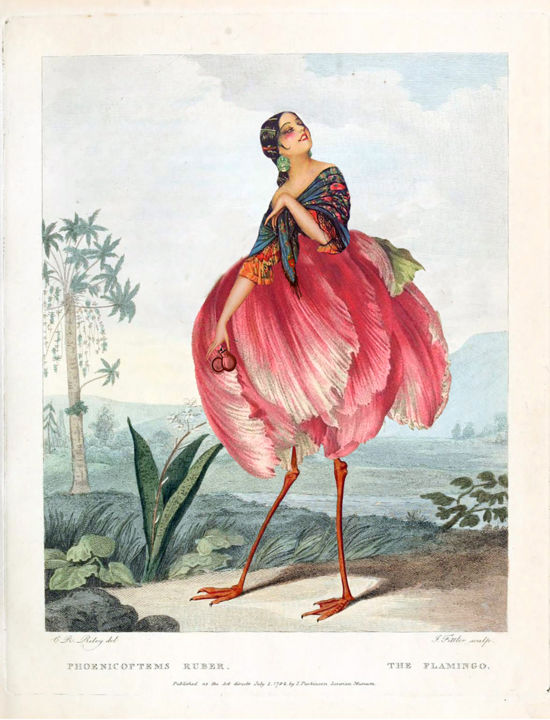 Artes digitais intitulada "Mademoiselle FLAFLA…" por Solange Gautier, Obras de arte originais, Colagens