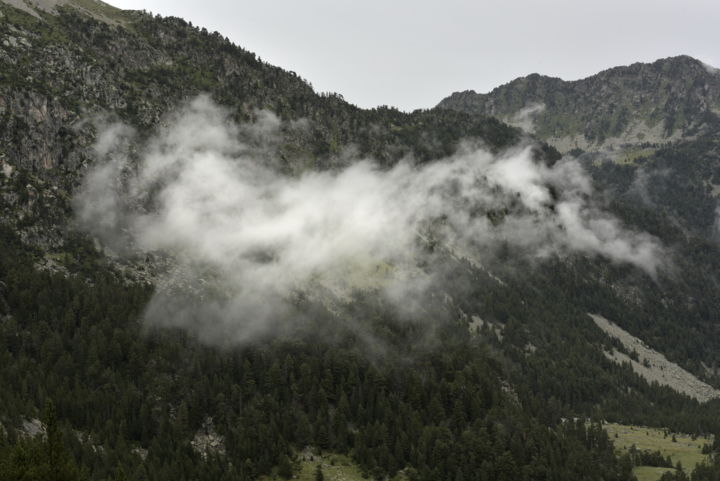 Photographie intitulée "Petit nuage" par Christophe Jeanjean, Œuvre d'art originale, Photographie non manipulée Monté sur Al…