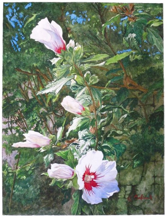 Painting titled "Hibiscus dans la lu…" by Gerard Belaud, Original Artwork, Watercolor