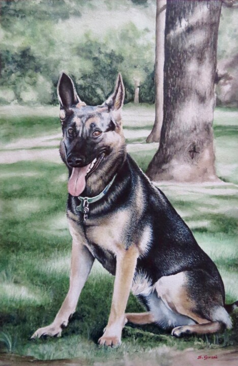 Painting titled "German Shepherd" by Geni Gorani, Original Artwork, Watercolor