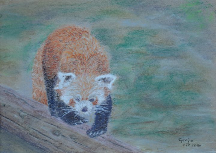 Drawing titled "Panda roux" by Geoffroy Jooris, Original Artwork, Pastel