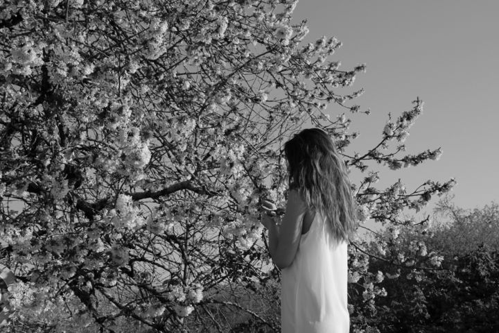 Photographie intitulée "Flowering tree" par Thierry Geoffroy, Œuvre d'art originale, Photographie non manipulée