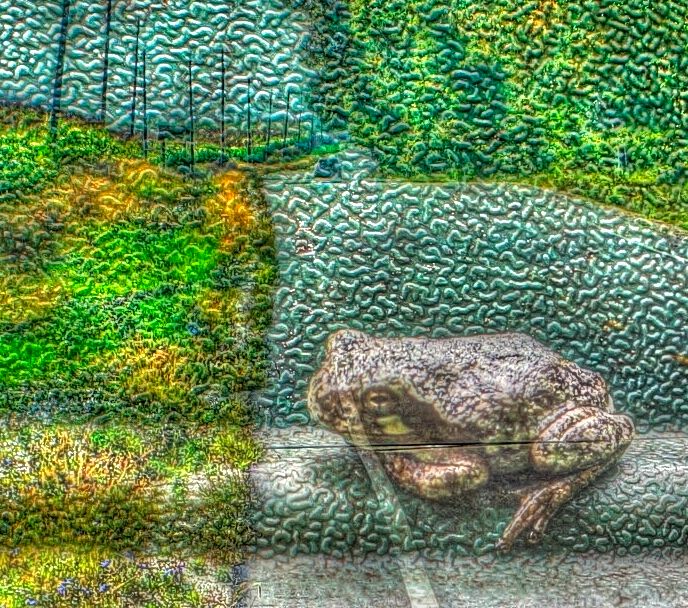 Fotografia intitulada "frog a mile" por George Grund, Obras de arte originais, Fotografia digital