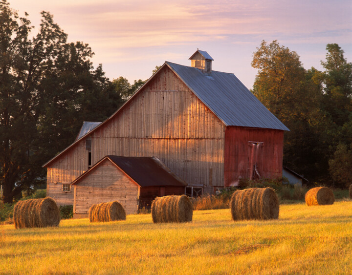 「Barn, North Hero Ve…」というタイトルの写真撮影 George Robinsonによって, オリジナルのアートワーク, アナログ写真