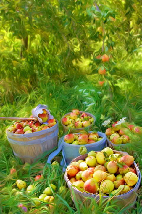 Photography titled "Picking Pears #1" by George Robinson, Original Artwork, Digital Photography