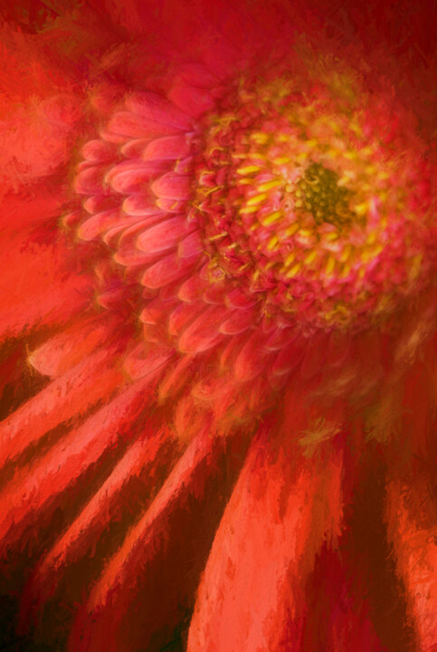 Photography titled "Flower" by George Robinson, Original Artwork, Manipulated Photography