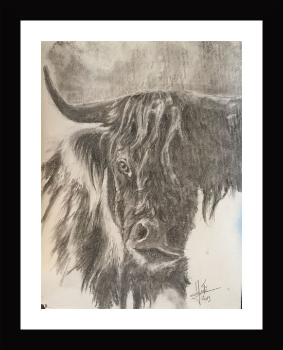 Zeichnungen mit dem Titel "vache ecossaise" von Georges Godé, Original-Kunstwerk, Kohle