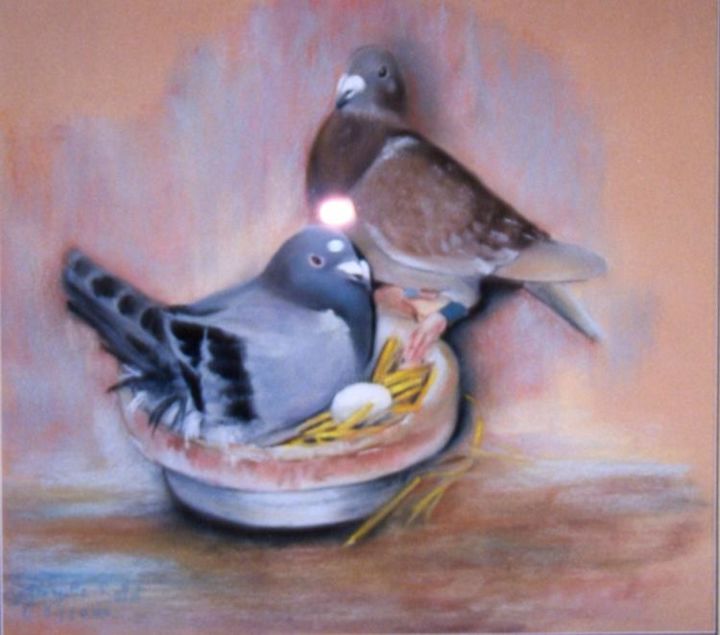 Desenho intitulada "les pigeons voyageu…" por Georgette Ballet, Obras de arte originais