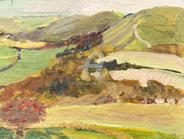 Pittura intitolato "Treyford, view over…" da Georgina Rey, Opera d'arte originale, Olio