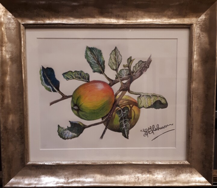Drawing titled "Apple's in an Orcha…" by Geraldine Flahavan, Original Artwork, Pencil Mounted on Glass