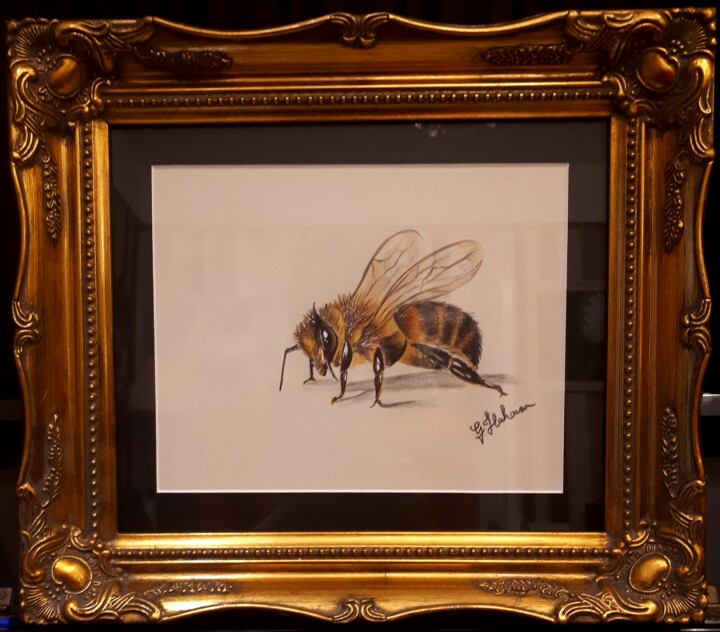 Dibujo titulada "" A Bee"" por Geraldine Flahavan, Obra de arte original, Lápiz Montado en Bastidor de camilla de madera