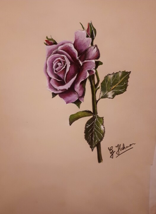 Dibujo titulada "Purple Rose" por Geraldine Flahavan, Obra de arte original, Lápiz