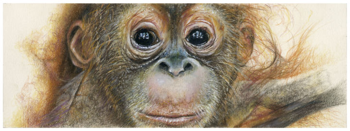 Drawing titled "What's my Future" by Geraldine Simmons, Original Art, Pencil