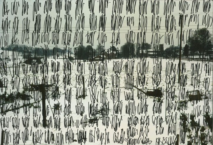 Drawing titled "Scribble Variations" by Gerald Shepherd, Original Art,