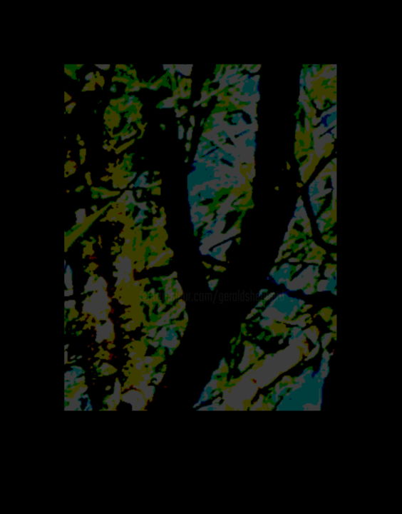 Digital Arts titled "Tree Trace" by Gerald Shepherd F.F.P.S., Original Artwork, 2D Digital Work