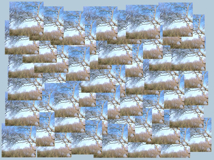 Digital Arts titled "Treescape" by Gerald Shepherd F.F.P.S., Original Artwork, Digital Painting