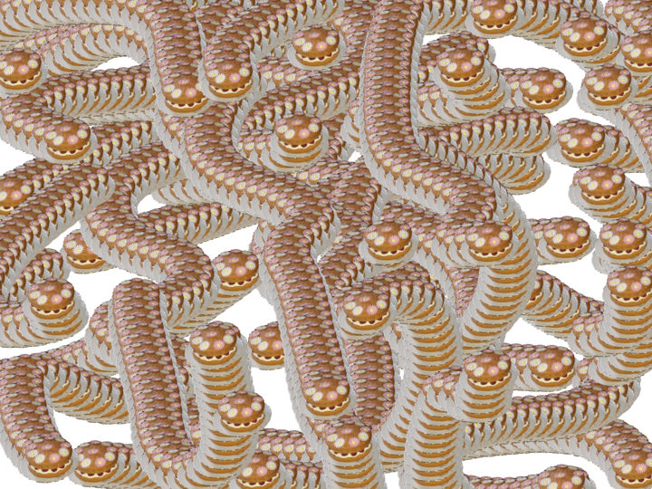 Digital Arts titled "Cake Snake" by Gerald Shepherd F.F.P.S., Original Artwork, Digital Painting
